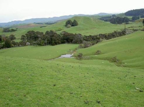 408 Motukai Road, Wainuioru
