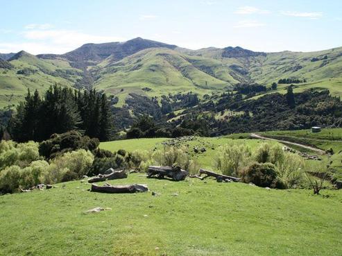 4837A Christchurch Akaroa Road, Little River