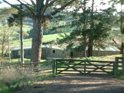 469A Ridge Road, Pokeno