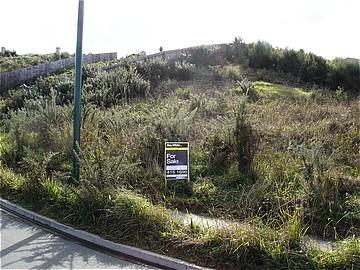 19 Living Stream Road, Albany Heights