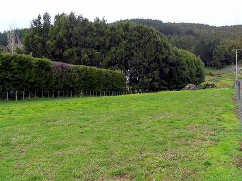 414 Crane Road, Kauri