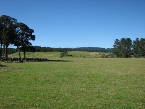 743 Ngaumu Road, Wainuioru