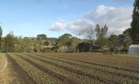 74 Mill Flat Road, Riverhead