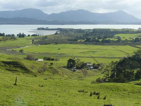 310 State Highway 12, Omapere