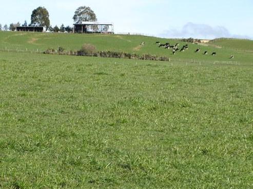511 Otama Road, Gore Surrounds