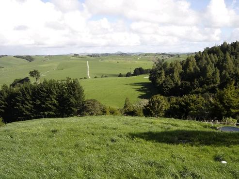 697 Waiteitei Road, Wellsford