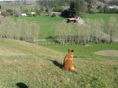 23 Tiniroto Road, Wairoa