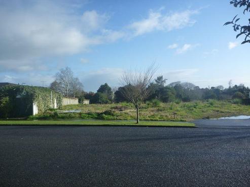 140 Wallace Terrace, Te Awamutu