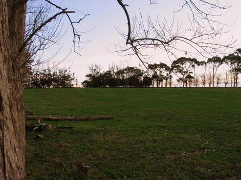 25 Hall Road, Waiuku