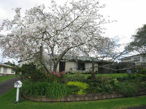 7 Lochview, Pukekohe