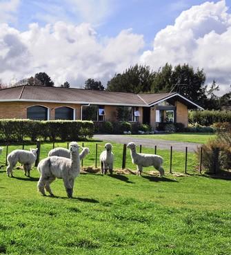 31 Fleming Road, Hamurana