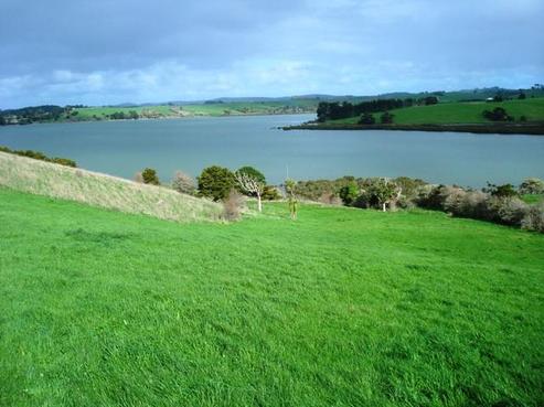 230 Metcalfe Road, Matakohe