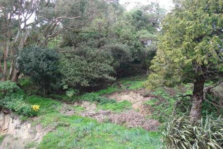 4 Birdwood Street, Karori