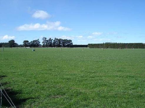2723 Tram Road, West Eyreton