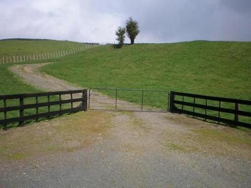 1422 Maungatautari Road, Cambridge