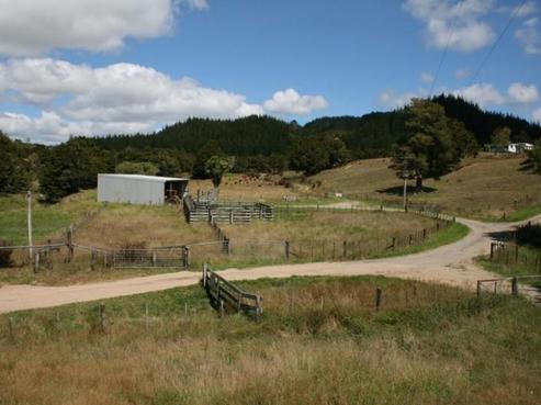288 Waikuku Road, Okaihau