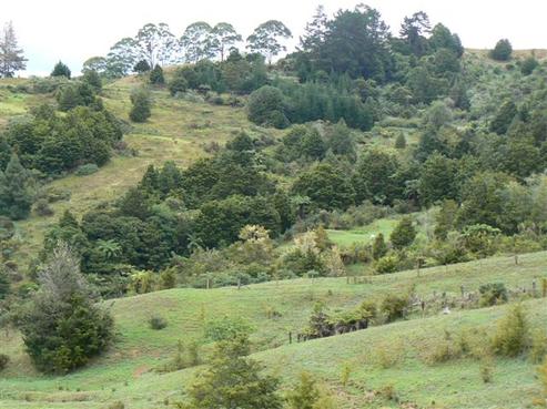 2894 Horeke Road, Horeke