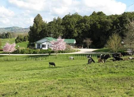 1294 State Highway 3, Te Kuiti
