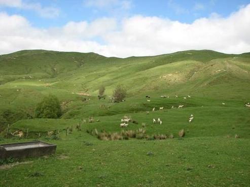 1244 Mangaone Valley Road, Pahiatua