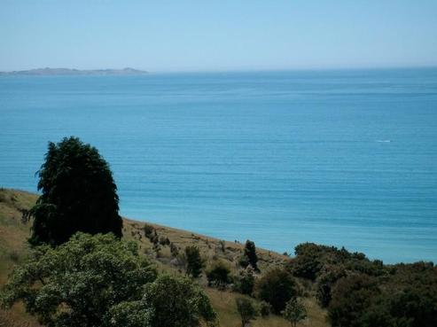 2002 State Highway 1, Oaro