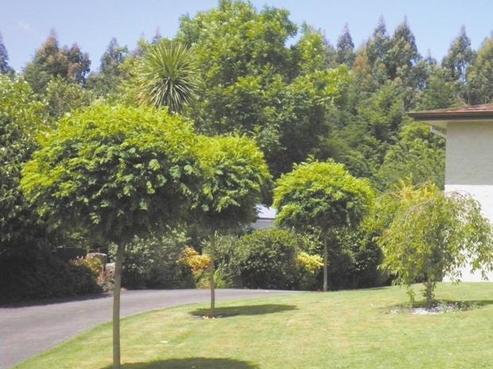 108 Tihi Road, Springfield