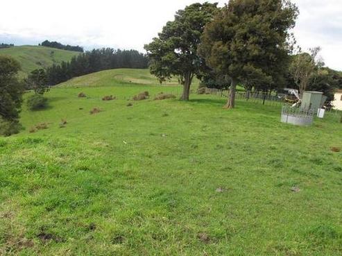 311 Bushy Park Road, Kai Iwi