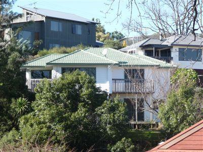 217B Waikiekie Road, Thames