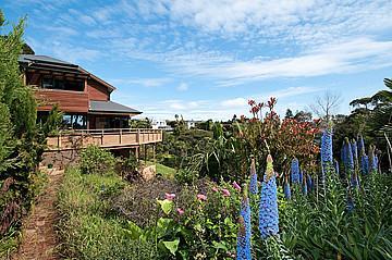469A East Coast Road, Murrays Bay