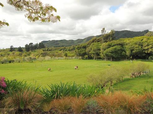 137 North Manakau Road, Manakau