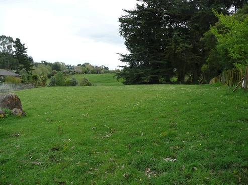 29A Colombo Road, Waiuku