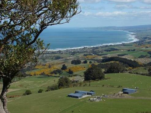 243 Saddle Hill Road, Scroggs Hill