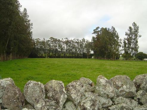 740 Mangakahia Road, Poroti