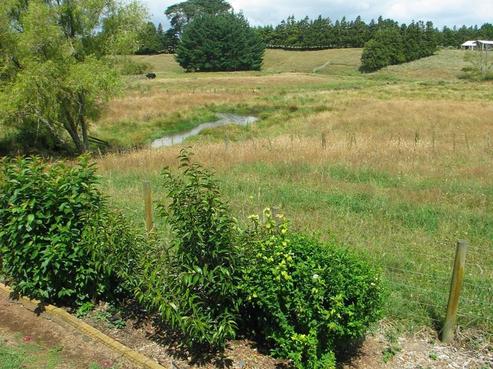 29 Colombo Road, Waiuku