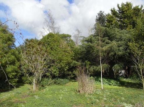 11A Cotter Street, Greytown