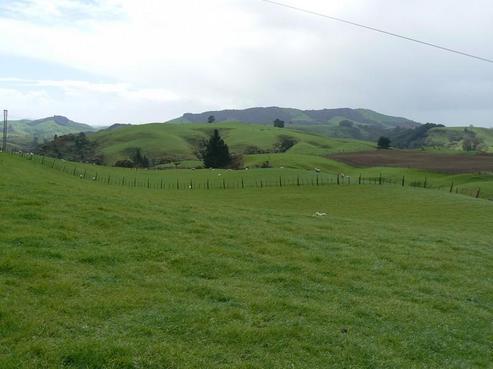 1836 Wharepuhunga Road, Wharepapa South