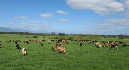 1297 Morrinsville-Tahuna Road, Tahuna