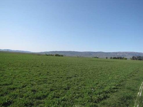 307 Waipiata Back Road, Ranfurly