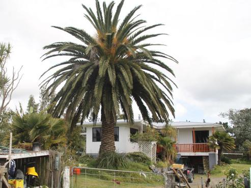 5118 Far North Road, Houhora