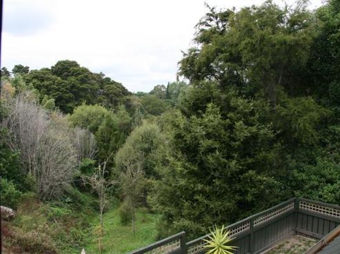 1A Ranfurly Avenue, Fairfield