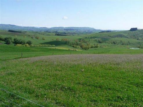 917 Ugly Hill Road, Central Hawkes Bay Country