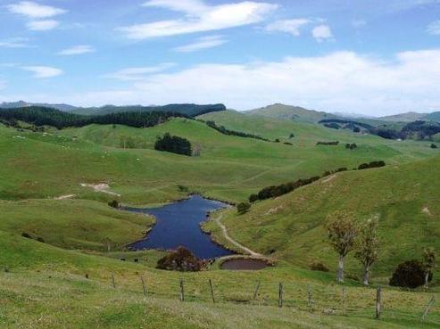 2612 Masterton Castlepoint Road, Mangapakeha
