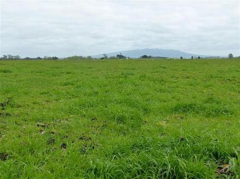 391 Wallace Road, Rotoorangi