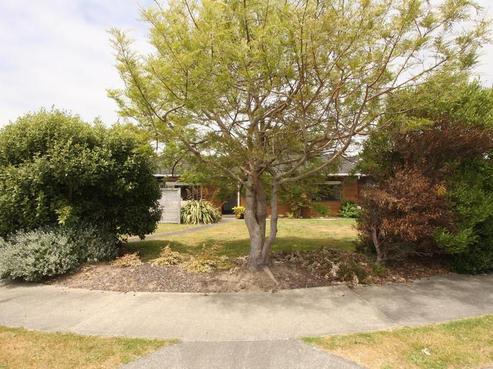 14 Cedar Drive, Paraparaumu Beach