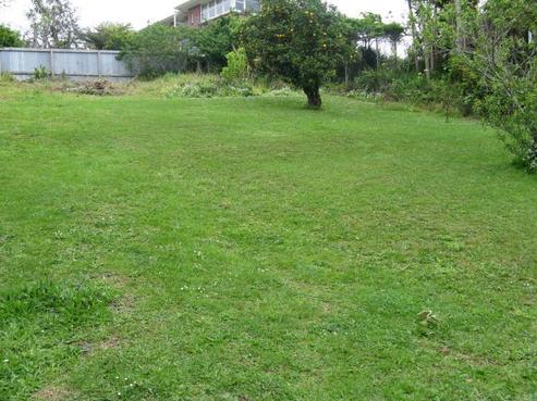 5B Nahum Street, Paeroa