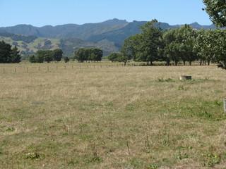 260 Huirau Road, Turua