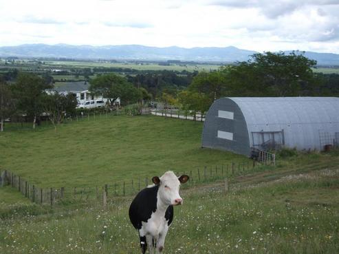 71 Jackson Road, Karangahake