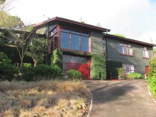 31 Lewis Street, Paeroa