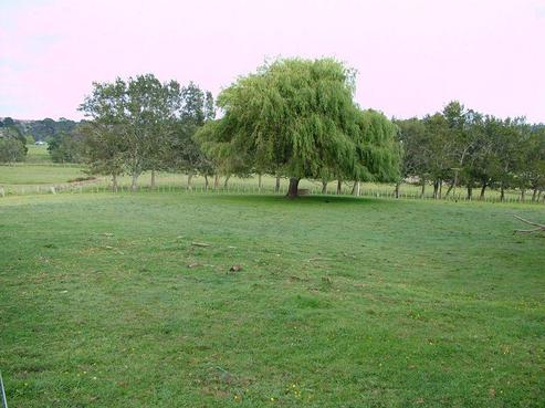 100 Escott Road, Dairy Flat
