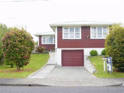 14 Rosina Street, Clouston Park