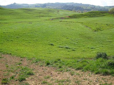 94 Tapuae Road, Otorohanga